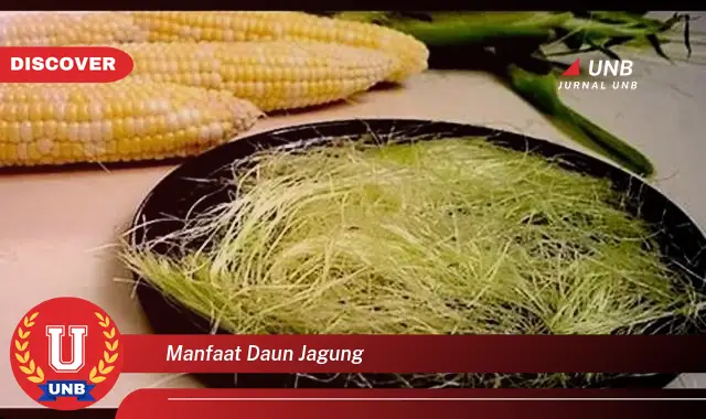 Ketahui 8 Manfaat Daun Jagung untuk Kesehatan, Dari Mengontrol Gula Darah Hingga Meningkatkan Imunitas