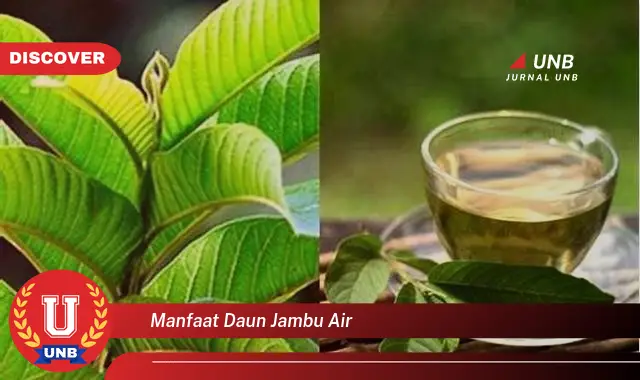 Ketahui 9 Manfaat Daun Jambu Air untuk Kesehatan dan Kecantikan