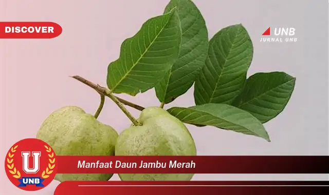 Ketahui 9 Manfaat Daun Jambu Merah untuk Kesehatan Tubuh Anda