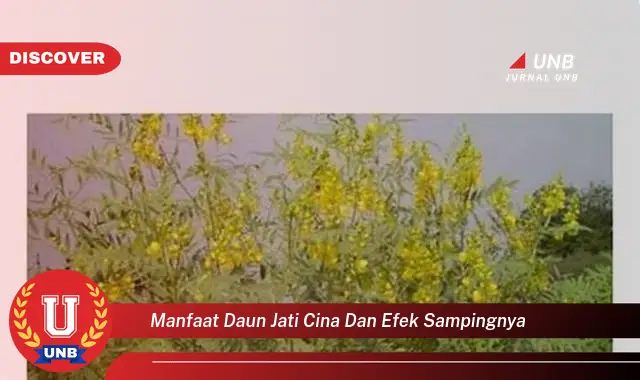 Ketahui 10 Manfaat Daun Jati Cina untuk Kesehatan dan Efek Samping yang Perlu Diwaspadai