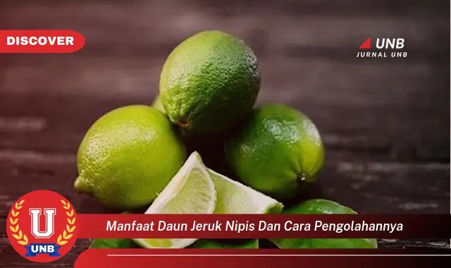 Ketahui 9 Manfaat Daun Jeruk Nipis untuk Kesehatan dan Kecantikan Beserta Cara Pengolahannya yang Mudah