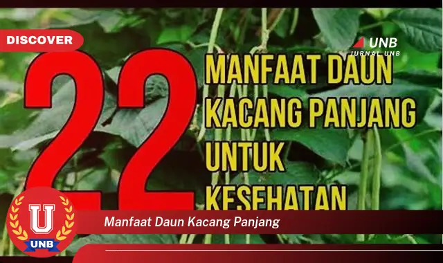 Ketahui 8 Manfaat Daun Kacang Panjang untuk Kesehatan dan Kecantikan