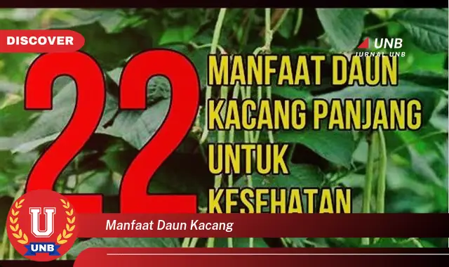 Ketahui 8 Manfaat Daun Kacang untuk Kesehatan Tubuh Anda