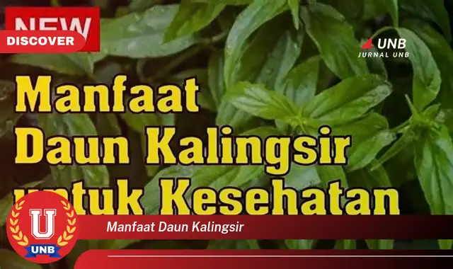 Ketahui 8 Manfaat Daun Kalingsir untuk Kesehatan dan Kecantikan