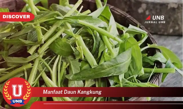 Ketahui 8 Manfaat Daun Kangkung untuk Kesehatan Tubuh Anda