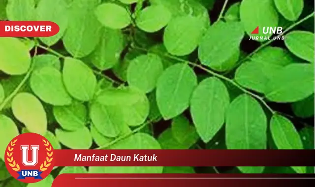 Ketahui 9 Manfaat Daun Katuk untuk Ibu Menyusui, ASI Melimpah dan Berkualitas