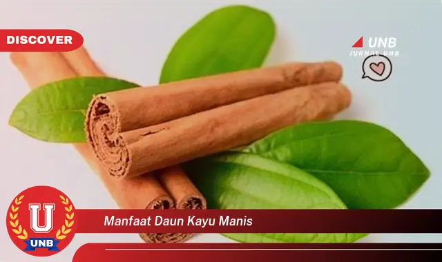 manfaat daun kayu manis