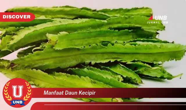 manfaat daun kecipir