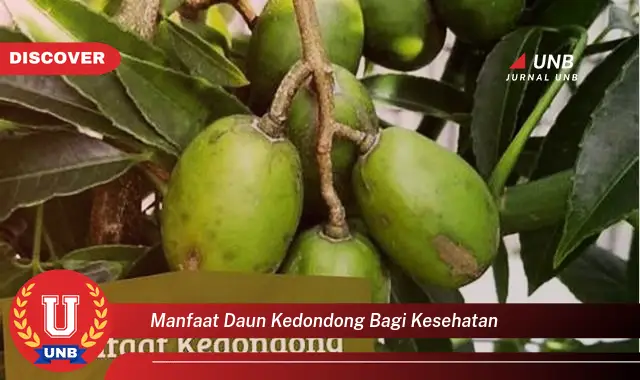 Ketahui 8 Manfaat Daun Kedondong bagi Kesehatan, Dari Akar Hingga Daun