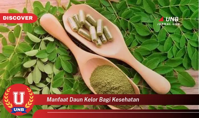 Ketahui 9 Manfaat Daun Kelor bagi Kesehatan, 10 Khasiat Luar Biasa untuk Tubuh Anda