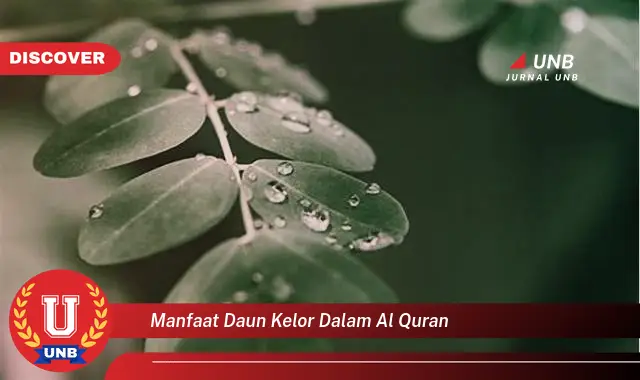 Ketahui 8 Manfaat Daun Kelor yang Disebutkan Dalam Al,Quran dan Hadits