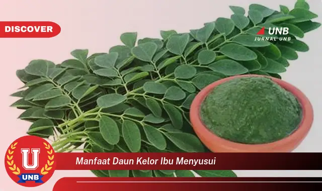 Ketahui 8 Manfaat Daun Kelor untuk Ibu Menyusui, Meningkatkan Kualitas & Kuantitas ASI