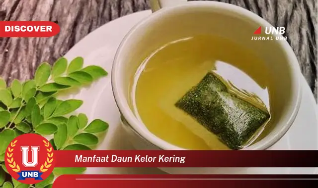 Ketahui 10 Manfaat Daun Kelor Kering untuk Kesehatan dan Kecantikan Anda