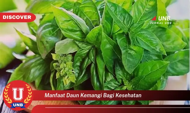 Ketahui 8 Manfaat Daun Kemangi Bagi Kesehatan, 10 Khasiat Luar Biasa untuk Tubuh Anda