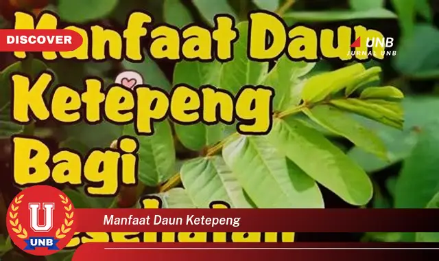 Ketahui 10 Manfaat Daun Ketepeng untuk Mengatasi Masalah Kulit Seperti Eksim dan Gatal,gatal