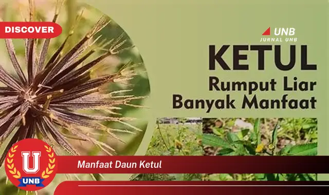 Ketahui 8 Manfaat Daun Ketul untuk Kesehatan dan Kecantikan