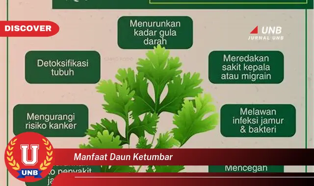 Ketahui 8 Manfaat Daun Ketumbar untuk Kesehatan Anda yang Luar Biasa