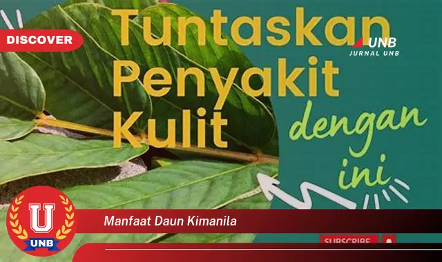 manfaat daun kimanila