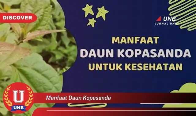 Ketahui 9 Manfaat Daun Kopasanda untuk Kesehatan Anda