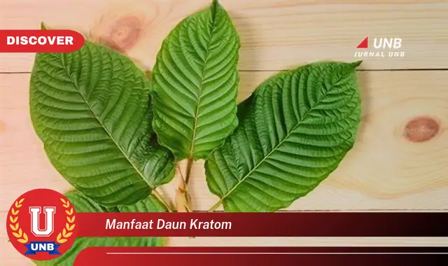 Ketahui 8 Manfaat Daun Kratom untuk Meredakan Nyeri dan Meningkatkan Energi