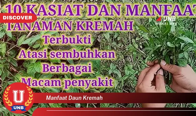 manfaat daun kremah