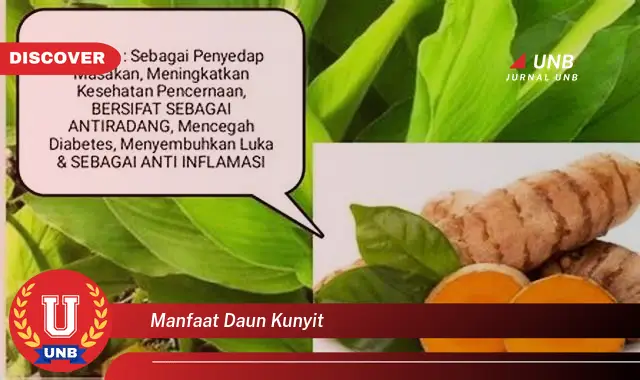 Ketahui 9 Manfaat Daun Kunyit untuk Kesehatan Tubuh Anda