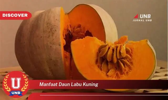 manfaat daun labu kuning