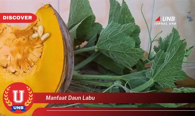 Ketahui 8 Manfaat Daun Labu untuk Kesehatan, Kecantikan, dan Resep Masakan