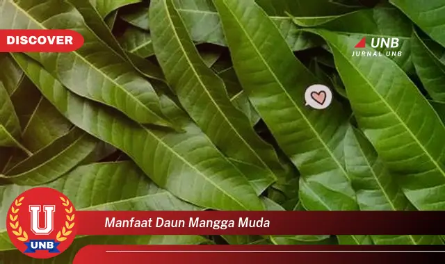 Ketahui 8 Manfaat Daun Mangga Muda untuk Kesehatan Anda