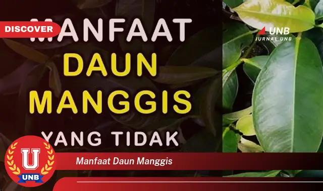 manfaat daun manggis