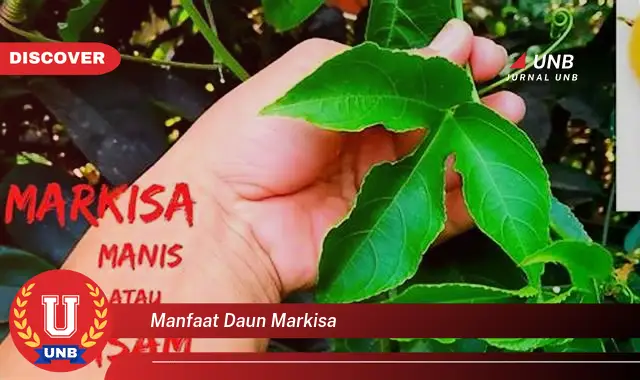 manfaat daun markisa