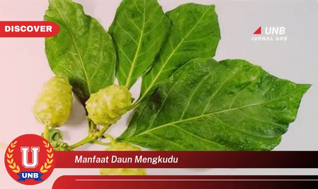 Ketahui 10 Manfaat Daun Mengkudu untuk Kesehatan Tubuh Anda