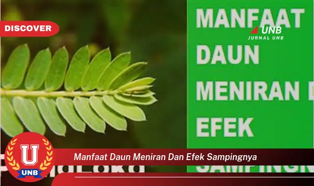 Ketahui 10 Manfaat Daun Meniran untuk Kesehatan dan Efek Samping yang Perlu Diwaspadai