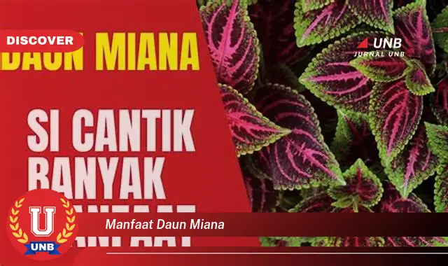 Ketahui 8 Manfaat Daun Miana untuk Kesehatan dan Kecantikan Anda