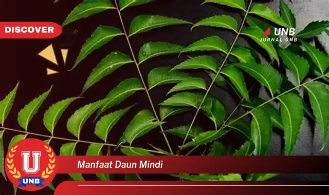 manfaat daun mindi