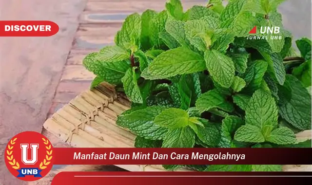 Ketahui 9 Manfaat Daun Mint untuk Kesehatan dan Cara Mengolahnya dengan Mudah