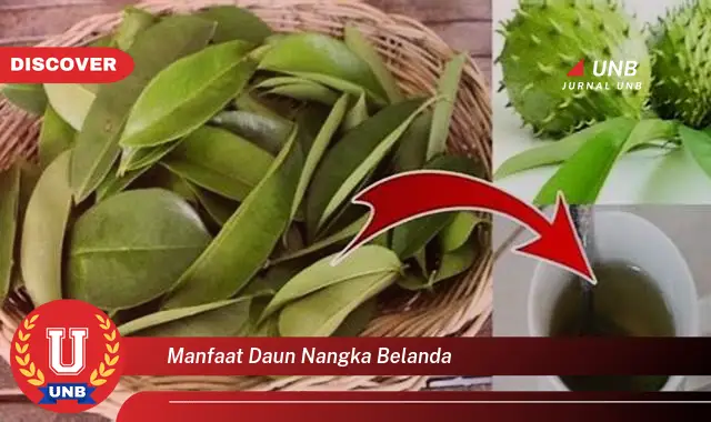 Ketahui 8 Manfaat Daun Nangka Belanda untuk Kesehatan Anda