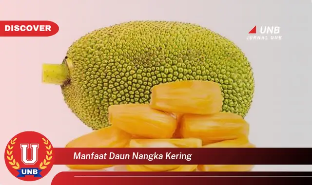 manfaat daun nangka kering