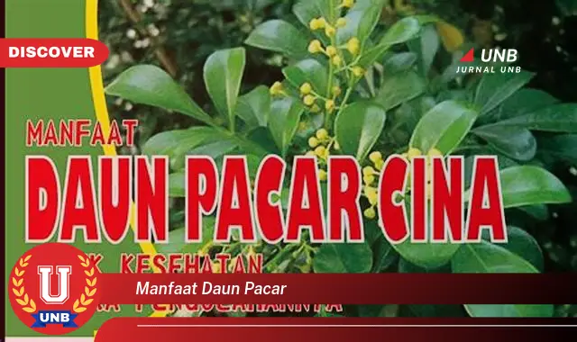 Ketahui 10 Manfaat Daun Pacar untuk Kesehatan Kulit dan Rambut Anda