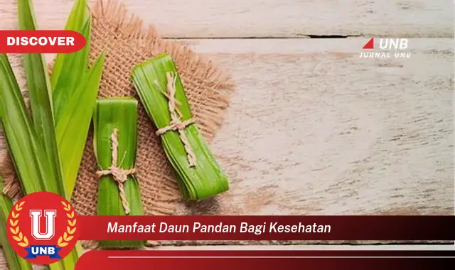 manfaat daun pandan bagi kesehatan