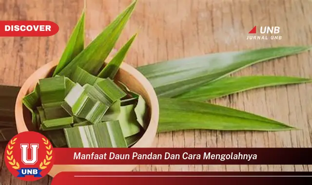 Ketahui 9 Manfaat Daun Pandan untuk Kesehatan dan Cara Mengolahnya dengan Mudah