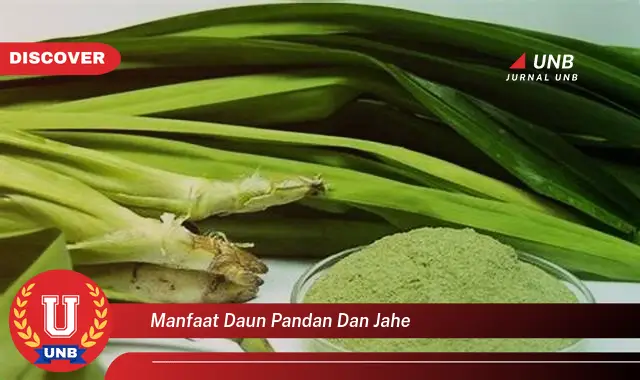 manfaat daun pandan dan jahe