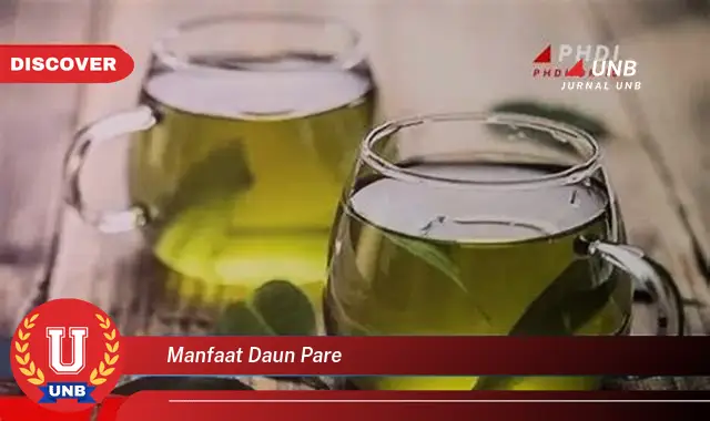 Ketahui 9 Manfaat Daun Pare untuk Kesehatan dan Kecantikan