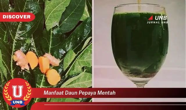 manfaat daun pepaya mentah