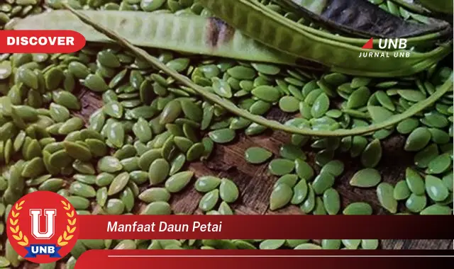 manfaat daun petai