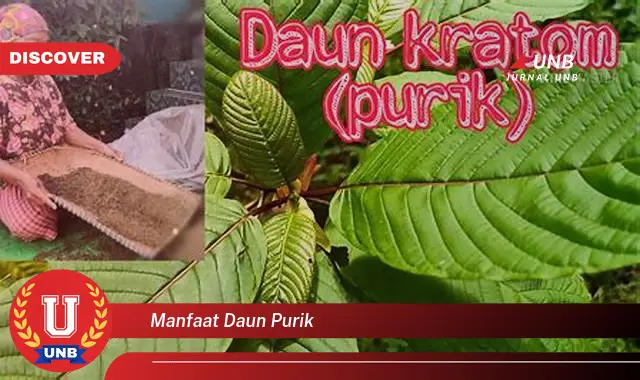 Ketahui 8 Manfaat Daun Purik untuk Kesehatan Tubuh Anda