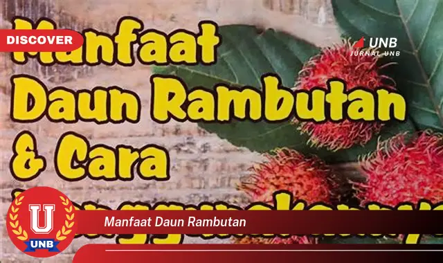 manfaat daun rambutan