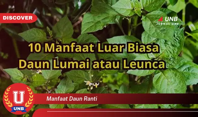 Ketahui 10 Manfaat Daun Ranti untuk Kesehatan Tubuh Anda