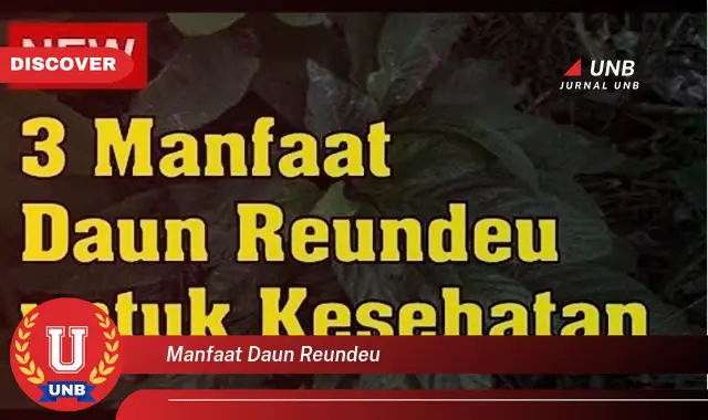 Ketahui 8 Manfaat Daun Reundeu untuk Kesehatan Tubuh Anda