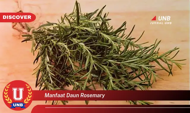 Ketahui 9 Manfaat Daun Rosemary untuk Kesehatan, Kecantikan, dan Masakan